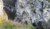 Percorso Marcia Cognin-les-Gorges - Les gorges du Nan - Photo 2