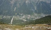Trail Walking Chamonix-Mont-Blanc - La Gare des Glaciers - Plan de l'Aiguille - Photo 2