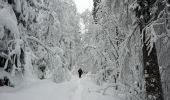 Randonnée Raquettes à neige Gerbépal - 20201230_12km_424m_ColMartimpré-ChaletPreux - Photo 4