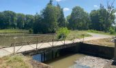 Tocht Fietstoerisme Avignonet-Lauragais - Canal du Midi - Photo 10