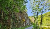 Tour Wandern Kiischpelt - Kautenbach - Sentier local KI 2 - Photo 5