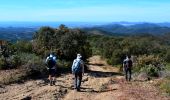 Trail Walking Collobrières - SityTrail - chapelle st guillaume  - Photo 11