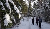 Trail Walking Châtelus - Le Pas des Voûtes - Le Pas de l'Allier - Photo 6