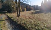 Trail Mountain bike Proveysieux - Panflay- Plaine de Girieux- Col de la charmette - Photo 9