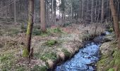 Trail Walking Ferrières - entre Jehonhé et La Fagne  - Photo 5