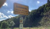Tour Wandern Sankt Vith - Lommersweiler vallées de l’Our - Photo 6