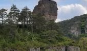 Tour Wandern Le Rozier - circuit Brunet et partie du circuit de Cassagnes le Rozier - Photo 4