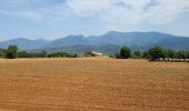 Tour Wandern Sant Ferriol - besaliu 190724 - Photo 17