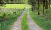 Randonnée Marche Libramont-Chevigny - Bois - Photo 2