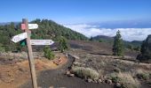 Excursión Senderismo El Paso - dag 3 La Palma  - Photo 11