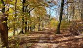 Trail Walking Bersac-sur-Rivalier - Bersac-sur-Rivalier - Beaubiat - 5,5 km - Photo 17