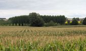 Tour Wandern Lémeré - Lémeré le Coudray - Château du Rivau Lémeré - 11.2km 115m 2h25 - 2024 08 18 - Photo 2