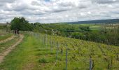 Tour Wandern Crouttes-sur-Marne - Crouttes du 23/05/2021 - Photo 1