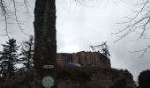 Percorso Marcia Ottrott - 2023-02-18 Vorbruck - Mt st Odile - Photo 3