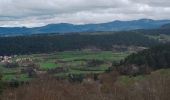 Trail Nordic walking Aiguilhe - Le Puy-en-Velay saint-privat-d'Allier - Photo 3