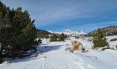 Randonnée Raquettes à neige La Llagonne - Les Bouillouses.( 66 MT LOUIS ) Pla des Aveillans-barrage des Bouillouses  - Photo 13