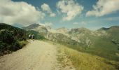 Trail On foot Tende - Circuit des Forts - Photo 2