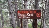 Trail Walking Unknown - 11133234-chemin du coq_jul-2017_openrunner - Photo 20