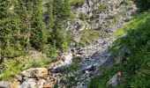 Randonnée Marche Pralognan-la-Vanoise - Mont Bachor Les Bramettes Cascade de la Fraîche Hauts de la Vanoise  - Photo 4