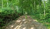Trail Walking Villechauve - Villechauve 41310 - Photo 13