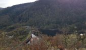 Randonnée Marche Lepuix - Ballon d'Alsace - cascade et lac d'Alfeld - Photo 12