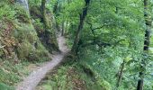 Randonnée Marche Bourscheid - Escapardenne Lee Trail: Moulin de Bourscheid - Hoscheid - Photo 14