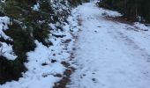Trail Walking Taintrux - Marche- Rouquine -Blanbois -PIERRE Roche -Haut Jasuef - Photo 2