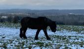 Trail Walking Rochefort - Jemelle - Photo 5