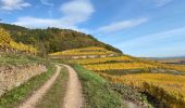 Excursión Bici eléctrica Soultz-Haut-Rhin - Florival  - Photo 2