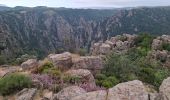 Trail Walking Prévenchères - GORGES DU CHASSEZAC DEPUIS LA GARDE- GUERIN - Photo 6