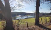 Tocht Te voet Büllingen - Rund um den See - Photo 7