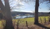 Tocht Te voet Büllingen - Rund um den See - Photo 7