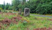 Tocht Te voet Sligo Municipal Borough District - Union Rock Trail - Photo 5