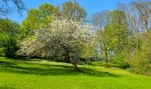 Tocht Stappen Antony - Sceaux en fleurs, Châtenay , Bièvre et Henri Sellier  IBP 70 - Photo 11