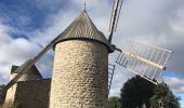 Tour Wandern Faugères - La Caumette-  Pic du Tantajo - Photo 2