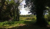 Randonnée Marche Chanat-la-Mouteyre - les trois villages réduit.  - Photo 1