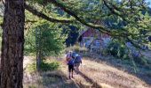 Trail Walking Saint-Martin-de-Queyrières - Tête du Puy (Argentière La Bessée) - Photo 8