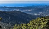 Randonnée Marche Bormes-les-Mimosas - Bormes les Mimosas. Les 3 cols - Photo 1