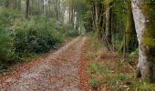 Tour Wandern Bort-les-Orgues - Barrage de Bort les Orgues - Château de Val - Photo 15