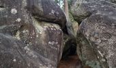 Trail Walking Fontainebleau - Fontainebleau - Sentier des carriers - Photo 6