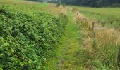 Trail Walking Hamoir - Filot 220725 - Photo 4