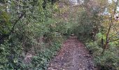 Trail Walking Modave - modave - clavier station, retour par la ligne 126 - Photo 19