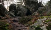 Tour Zu Fuß Arbonne-la-Forêt - 3 pignons : Boucle de la canche aux merciers - Photo 3