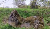 Percorso Marcia Anthisnes - anthisne . vien . les floxhes . la rock . les stepennes . anthisnes  - Photo 5