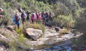 Randonnée Marche Saint-Raphaël - La Baïsse des Charretiers - Photo 1