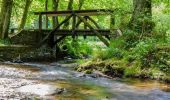 Excursión Senderismo Herbeumont - Haut-Chenois - Sentiers  et vallée de l'Antrogne - Photo 1