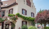 Tour Zu Fuß Mosbach - Rundwanderweg Mosbach 3: Neckarzimmern-Weg - Photo 7