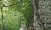 Percorso A piedi Caramanico Terme - Tratto Caramanico - Rifugio Pomilio - Photo 3