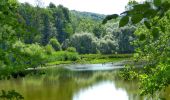 Tour Wandern Thuin - La Promenade du Bois du Prince - Abbaye d'Aulne - Photo 1