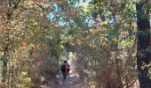 Tocht Stappen Tréhorenteuc - Broceliande - Photo 4